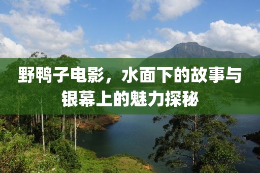 野鸭子电影，水面下的故事与银幕上的魅力探秘