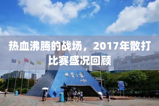 热血沸腾的战场，2017年散打比赛盛况回顾