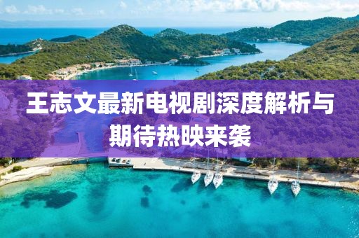 王志文最新电视剧深度解析与期待热映来袭