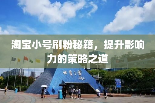 淘宝小号刷粉秘籍，提升影响力的策略之道