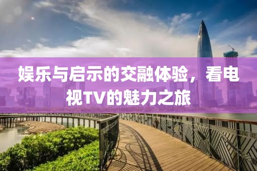 追飞碟 第4页