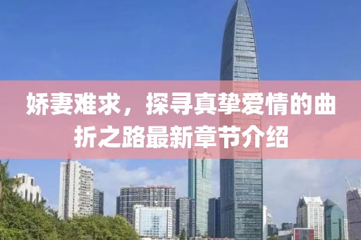 娇妻难求，探寻真挚爱情的曲折之路最新章节介绍
