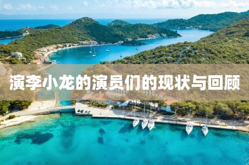 演李小龙的演员们的现状与回顾