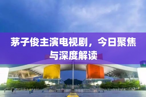 茅子俊主演电视剧，今日聚焦与深度解读