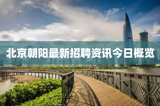 北京朝阳最新招聘资讯今日概览