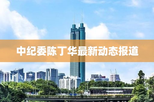 中纪委陈丁华最新动态报道