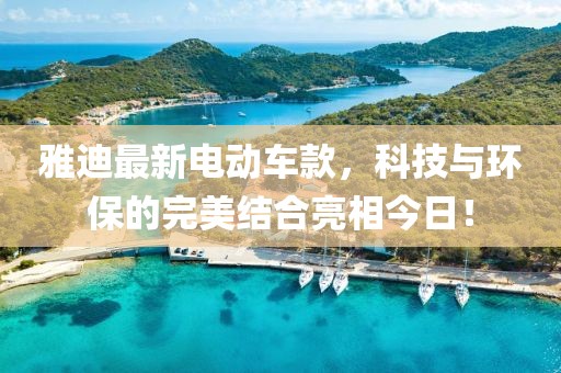 雅迪最新电动车款，科技与环保的完美结合亮相今日！