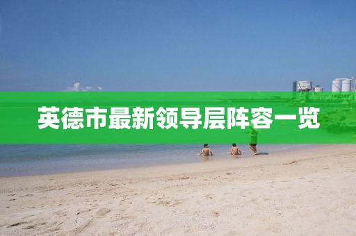 英德市最新领导层阵容一览