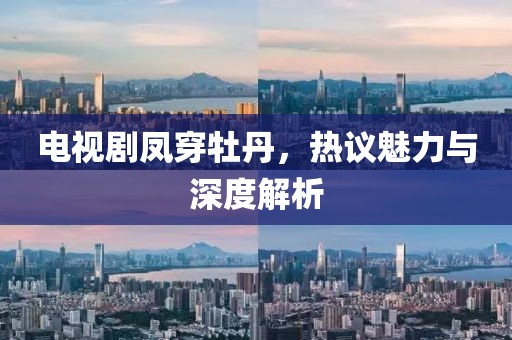 电视剧凤穿牡丹，热议魅力与深度解析