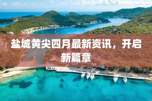 盐城黄尖四月最新资讯，开启新篇章
