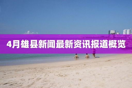 4月雄县新闻最新资讯报道概览