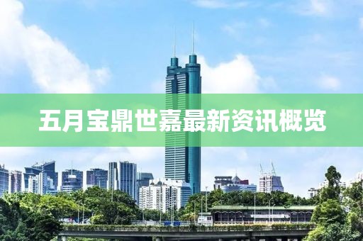 五月宝鼎世嘉最新资讯概览