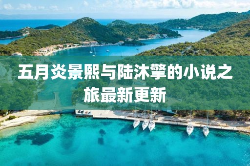 五月炎景熙与陆沐擎的小说之旅最新更新