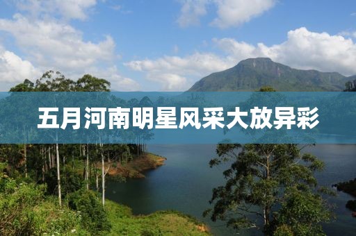 五月河南明星风采大放异彩