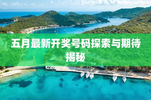 五月最新开奖号码探索与期待揭秘