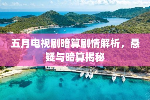 五月电视剧暗算剧情解析，悬疑与暗算揭秘