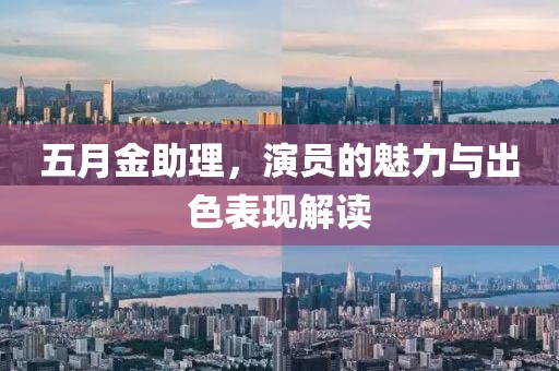 五月金助理，演员的魅力与出色表现解读