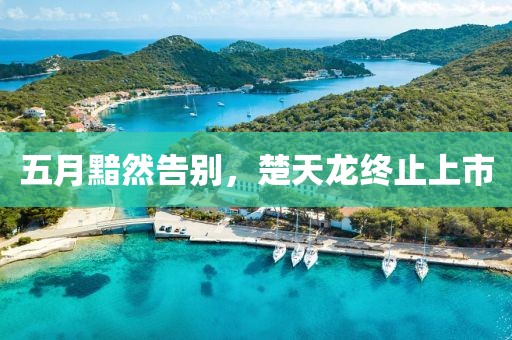 五月黯然告别，楚天龙终止上市