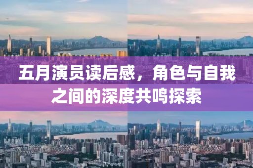 五月演员读后感，角色与自我之间的深度共鸣探索