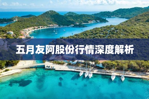 五月友阿股份行情深度解析