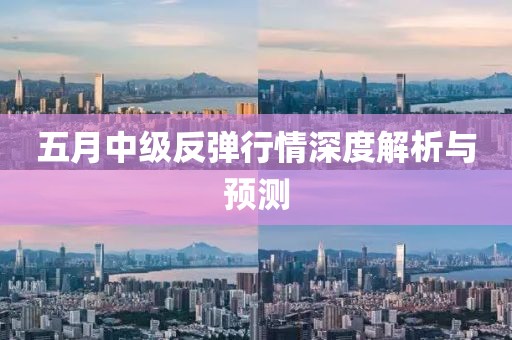 五月中级反弹行情深度解析与预测