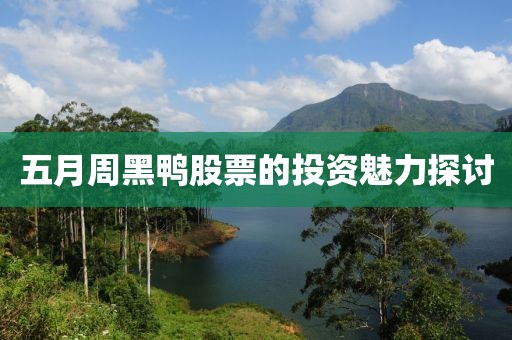 五月周黑鸭股票的投资魅力探讨