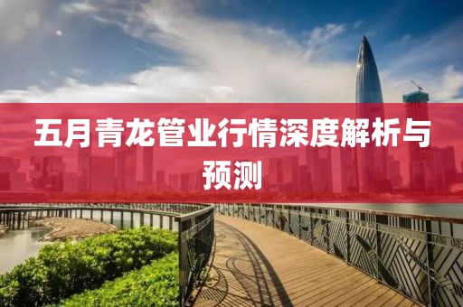 五月青龙管业行情深度解析与预测