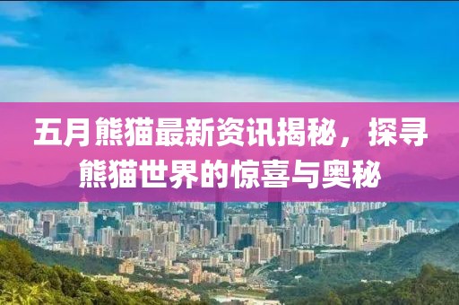 五月熊猫最新资讯揭秘，探寻熊猫世界的惊喜与奥秘