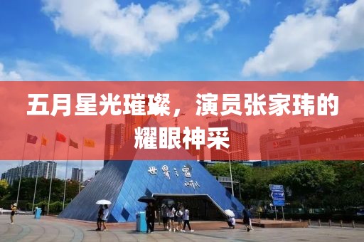 五月星光璀璨，演员张家玮的耀眼神采