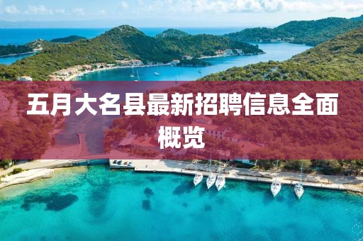 五月大名县最新招聘信息全面概览