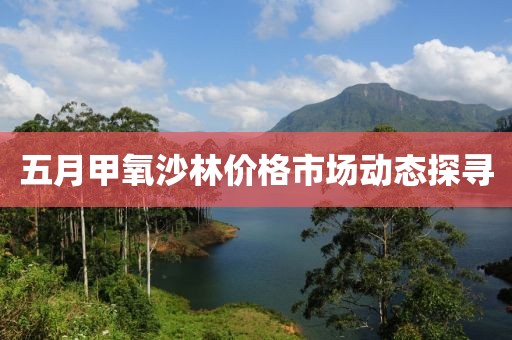 五月甲氧沙林价格市场动态探寻