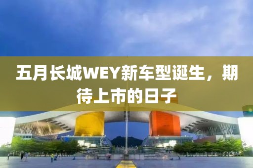 五月长城WEY新车型诞生，期待上市的日子