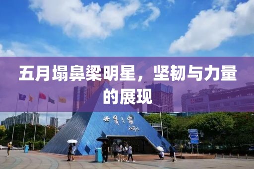 五月塌鼻梁明星，坚韧与力量的展现