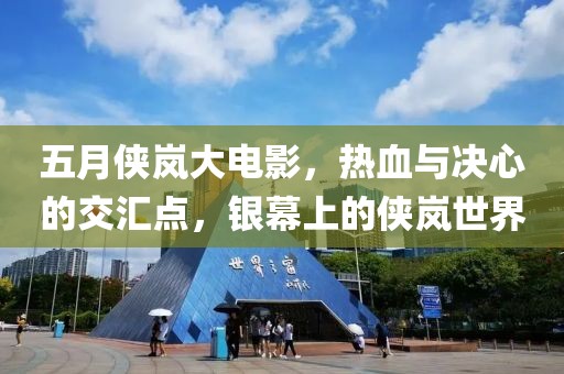 五月侠岚大电影，热血与决心的交汇点，银幕上的侠岚世界