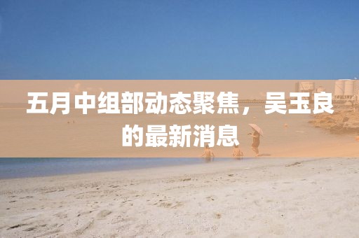 五月中组部动态聚焦，吴玉良的最新消息