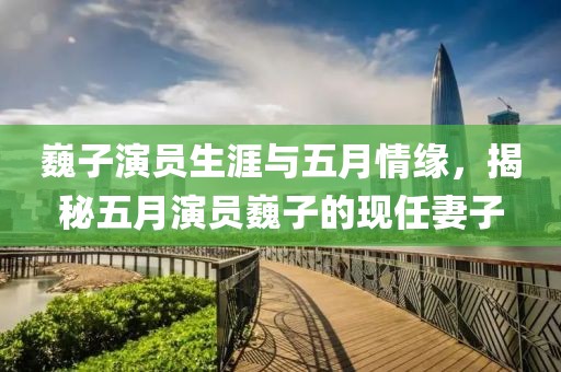 巍子演员生涯与五月情缘，揭秘五月演员巍子的现任妻子