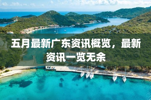 五月最新广东资讯概览，最新资讯一览无余