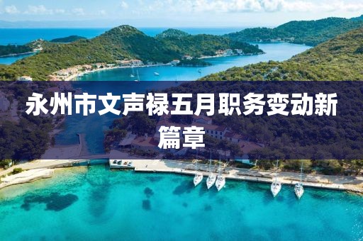 永州市文声禄五月职务变动新篇章