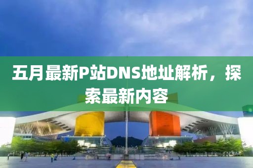 五月最新P站DNS地址解析，探索最新内容