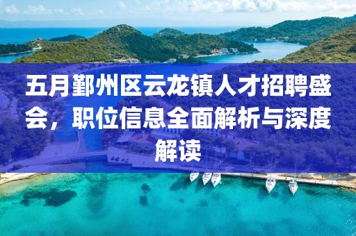 五月鄞州区云龙镇人才招聘盛会，职位信息全面解析与深度解读