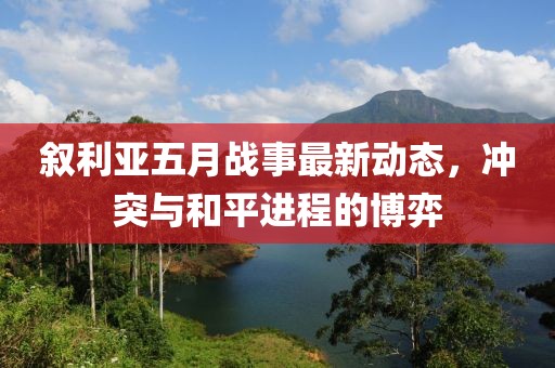 叙利亚五月战事最新动态，冲突与和平进程的博弈
