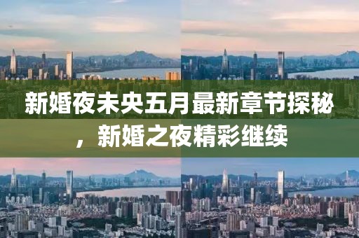 新婚夜未央五月最新章节探秘，新婚之夜精彩继续