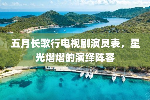五月长歌行电视剧演员表，星光熠熠的演绎阵容