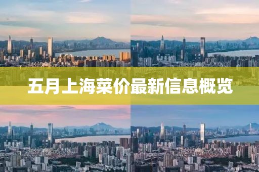五月上海菜价最新信息概览