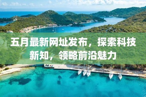 五月最新网址发布，探索科技新知，领略前沿魅力