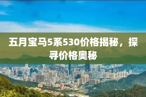 五月宝马5系530价格揭秘，探寻价格奥秘