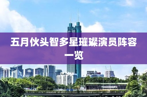 五月伙头智多星璀璨演员阵容一览