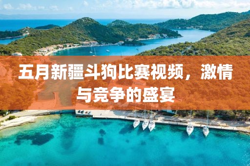 五月新疆斗狗比赛视频，激情与竞争的盛宴