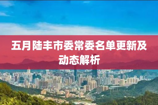 五月陆丰市委常委名单更新及动态解析