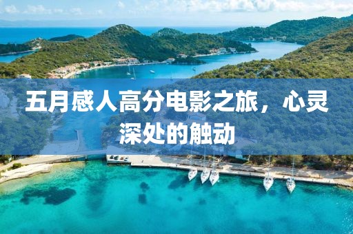 五月感人高分电影之旅，心灵深处的触动